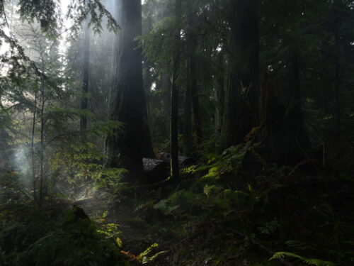 Product Template Test